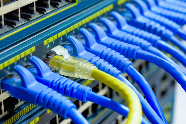 istock UTP Cables connected to network switch ports 806339160