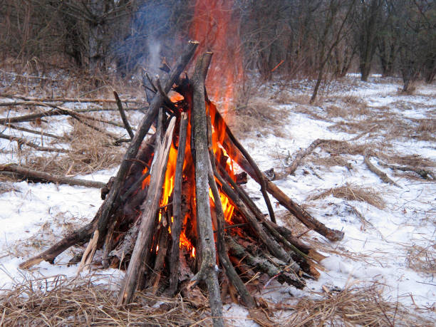 istock Bonfire in clearing in winter forest with snow at evening 806372682