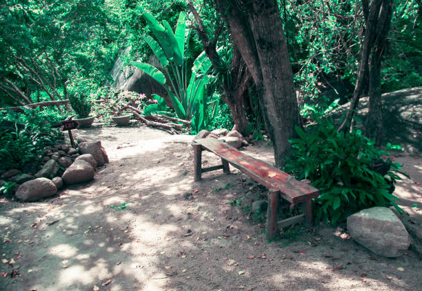 istock Bench for a rest in a park in the jungle in Vietnam 806380986