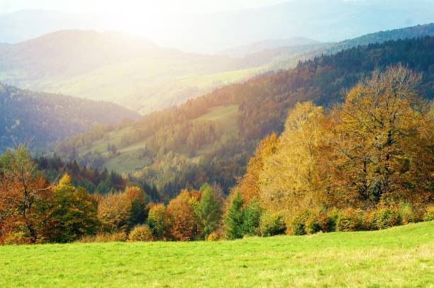 istock Scenic Colorful Fall Landscape 806405738