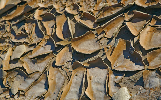 terreno arido valle della morte - driest foto e immagini stock