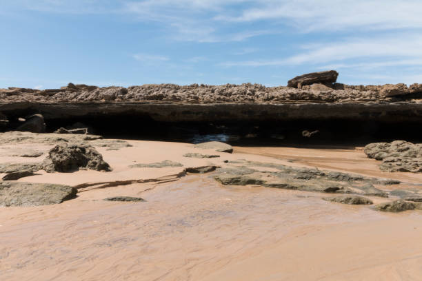 istock South coastline - Natal, RN, Brazil 806426494