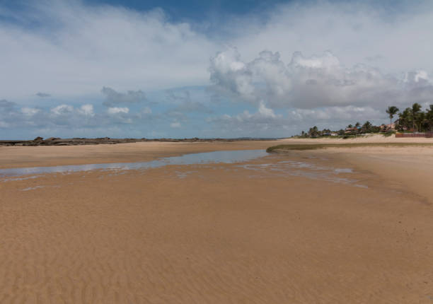 istock South coastline - Natal, RN, Brazil 806428394
