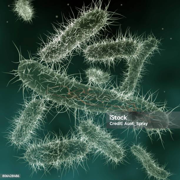 E Coli Bacteria In Sewage Water Stock Photo - Download Image Now - Animal, Bacillus Subtilis, Bacterium