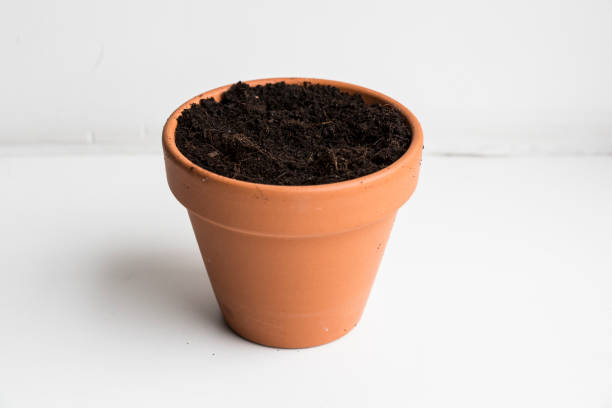istock Mini flower pot for hobby gardening 806428838