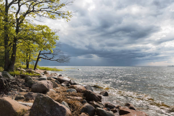 istock Stony beach of the bay with green trees 806431066