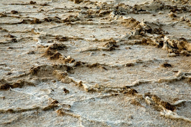 istock Cotton ball in Death valley 806436094