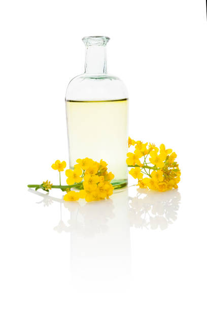 istock Rapeseed oil and flower. 806461326