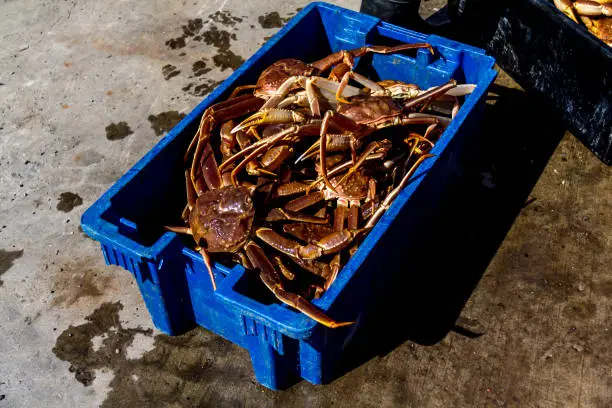 A crate of crab on the warf.