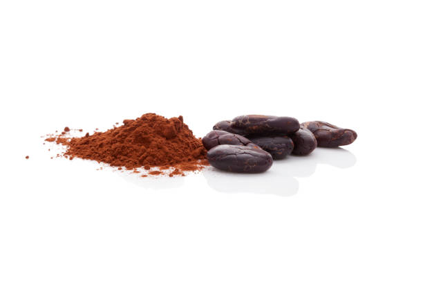 istock Cocoa beans and cocoa powder. 806471250