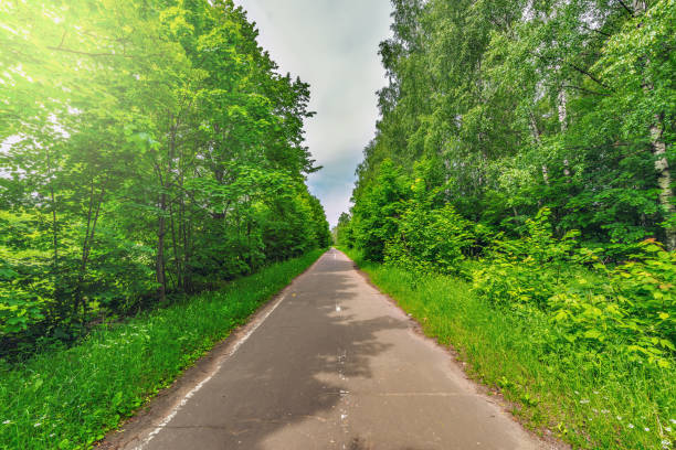 Summer view of the road in the city park.