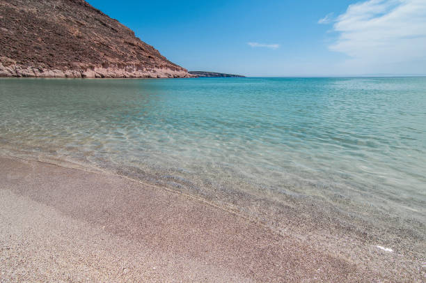 istock Espiritu Santo Island, Mexico 806476294