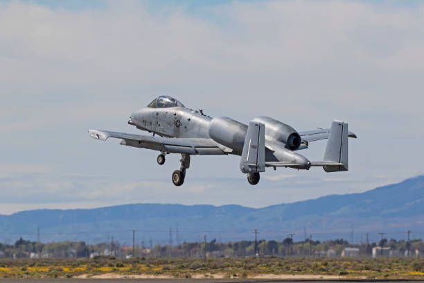 Airplane A-10 Thunderbolt II Warthog jet fighter take-off Los Angeles, California,USA - March 24,2017. Fairchild Republic A-10 Thunderbolt II "Warthog" fighter aircraft flying at the 2017 Los Angeles Air Show in Los Angeles, California. The 2017 Los Angeles Air Show features 2 days of military aircraft and the Thunderbirds flying for the general public. a10 warthog stock pictures, royalty-free photos & images