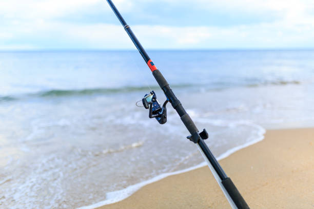 istock Fishing cane on the beach 806553414