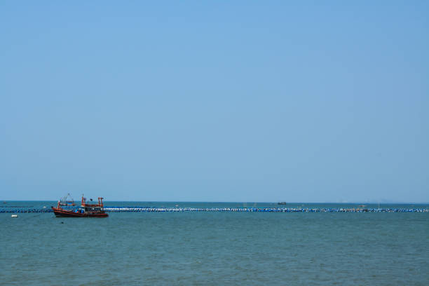 istock Drift fishing vessels at sea 806577330