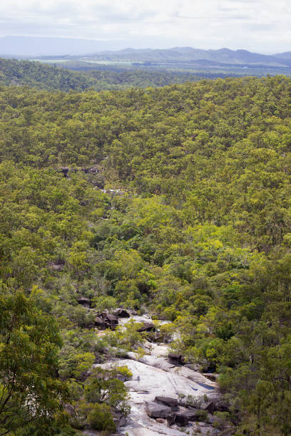 istock Scenic view from Davies Creek Falls 806609814