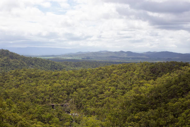istock Beautiful view from Davies Creek Falls 806614090