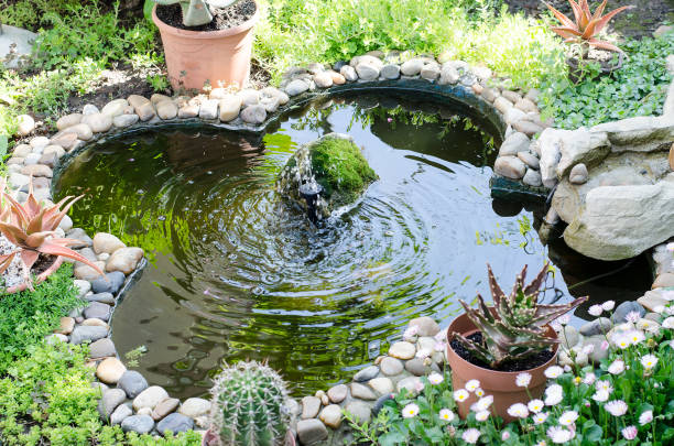 istock Garden pond with fountain 806624344