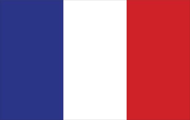 флаг франции - france stock illustrations