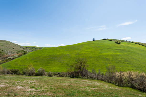 istock Italian landscape with meadow 806629222