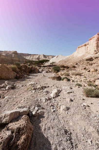 istock Stone desert in Israel 806629236