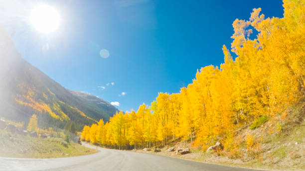 Driving through alpine forest of Guanella Pass