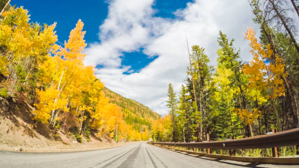 istock Driving through alpine forest of Guanella Pass 806631698