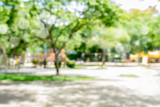 istock blur natural and light background in the park. 806631720