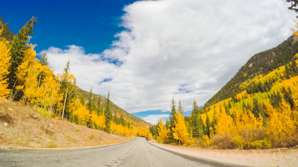 istock Driving through alpine forest of Guanella Pass 806631882