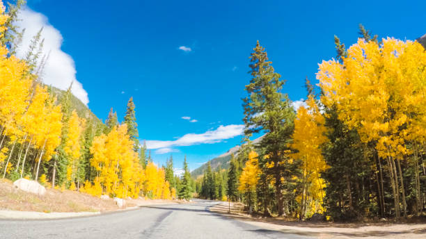 istock Driving through alpine forest of Guanella Pass 806631900