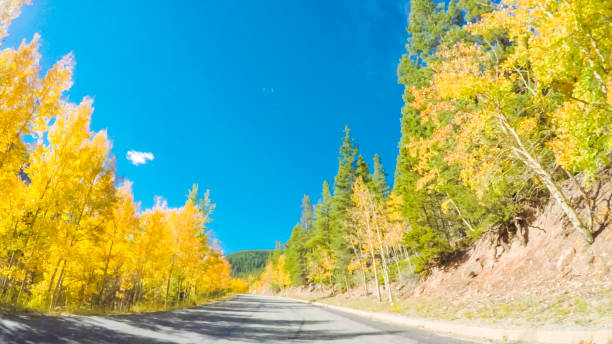istock Driving through alpine forest of Guanella Pass 806631912