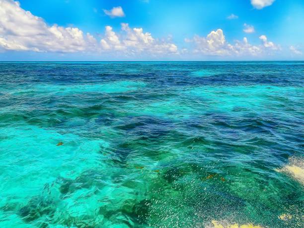 crystal clear ocean water in the Florida Keys stock photo