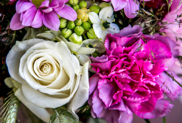 istock Beauty of Flowers 806646092
