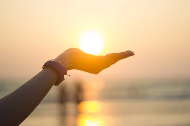 istock silhouette of female hands during sunset 806667516