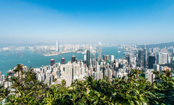 istock Hong Kong Cityscape 806670364