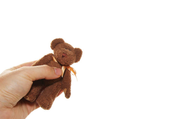 istock A man holding a small teddy bear isolated on a white background. This image can be used to represent empathy or child care. 806670572