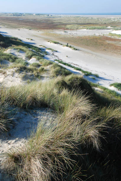 istock At the beach of Amrum, Germany 806674778