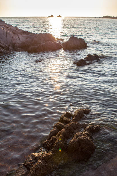 istock Beautiful sunset over the rocky seashore 806680938