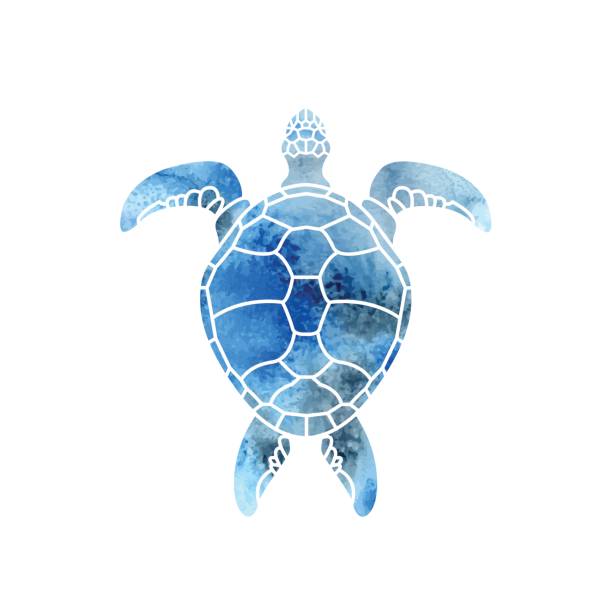 istock Cheloniidae. Turtle. Wildlife. Silhouette. Symbol, icon. Vector illustration. 806685462