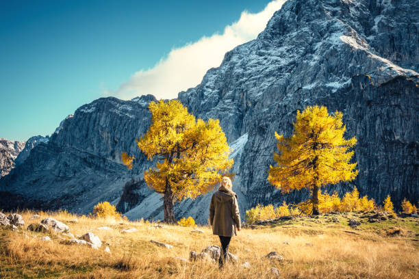 istock Hiking In The Mountains 806691616