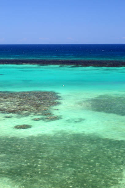 istock Ocho Rios, Jamaica 806697744