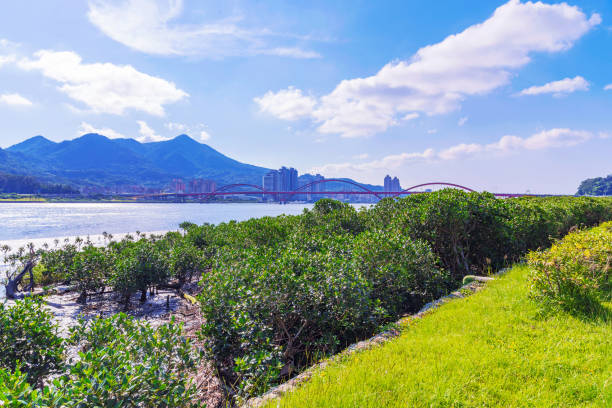 istock View of riverside park in Taipei 806702878