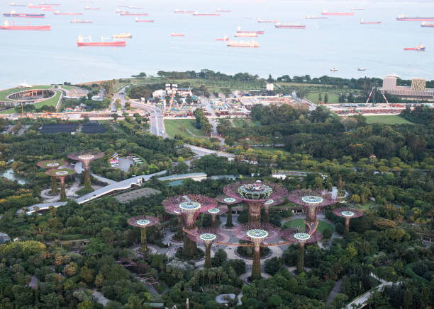 istock Gardens by the Bay, Singapore 806706830