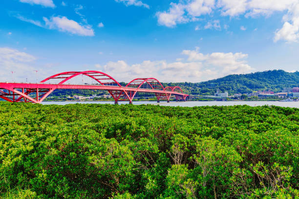 istock Scenic view of Guandu bridge 806707012