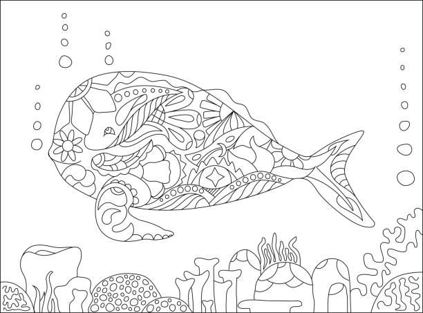 Whale and corals adult coloring page vector illustration Whale and corals coloring page, coloring page whale, sea theme coloring page with whale and coral, high detailed adult coloring whale, adult coloring book page whale, mandala style whale for coloring coloring book cover stock illustrations