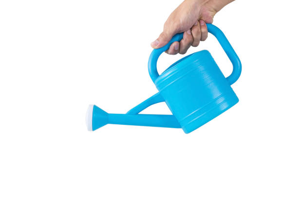 istock Hand holding the equipment for Watering 806717362
