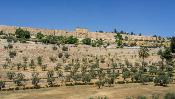 istock The Golden Gate in Jerusalem, Israel 806760380