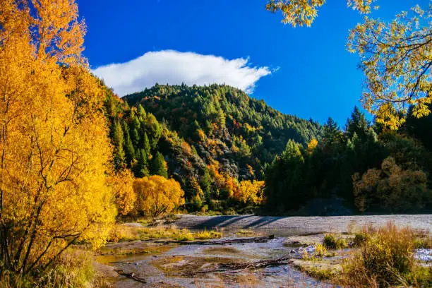 Photo of Arrow River, Arrowtown, New Zealand