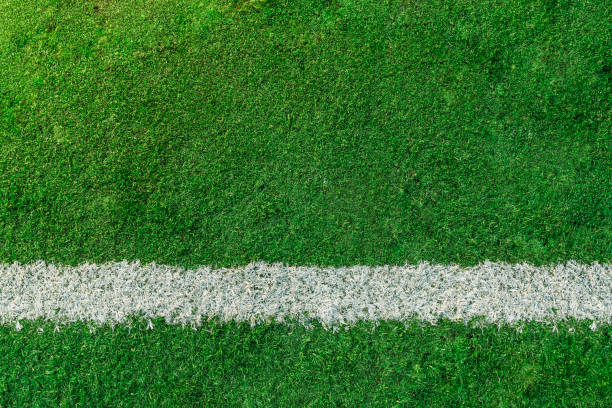 Top view of white stripe on green soccer field