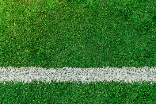 Single Line, Soccer Field, Playing Field, Grass, Striped